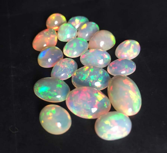 Opal 24